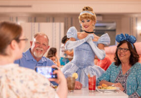 sm1900-Park-Fare_Cinderella_700x467